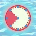 ps破解版百度网盘下载